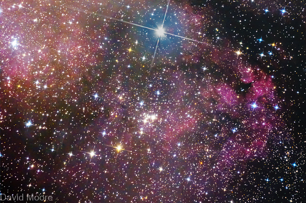 IC1318 The Sadr region