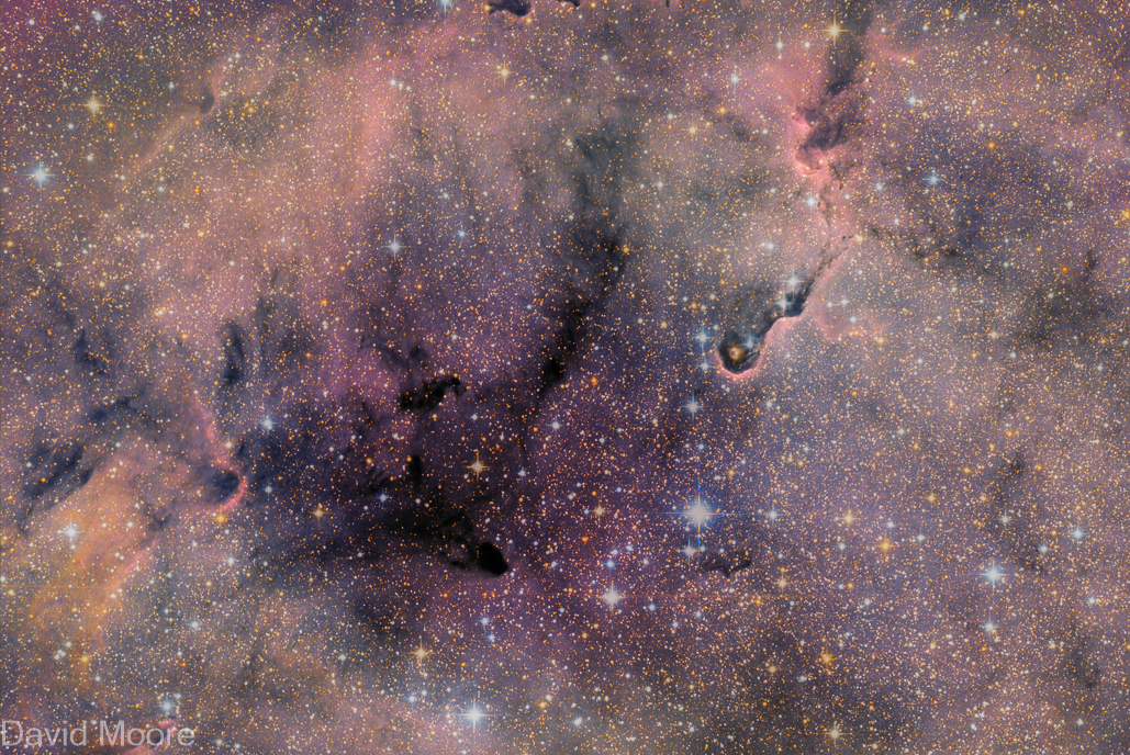 IC1396 Elephant trunk nebula with astro cameras