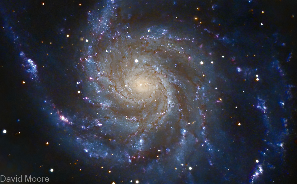 M101 The Pinwheel Galaxy