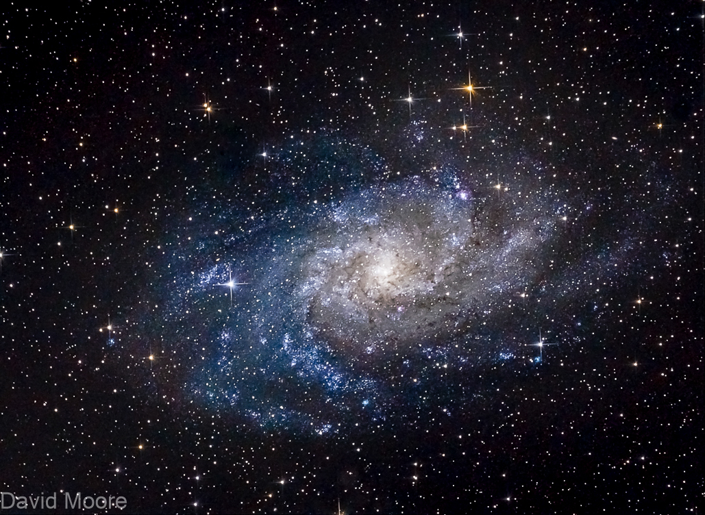 M33 The Triangulum Galaxy in Triangulum