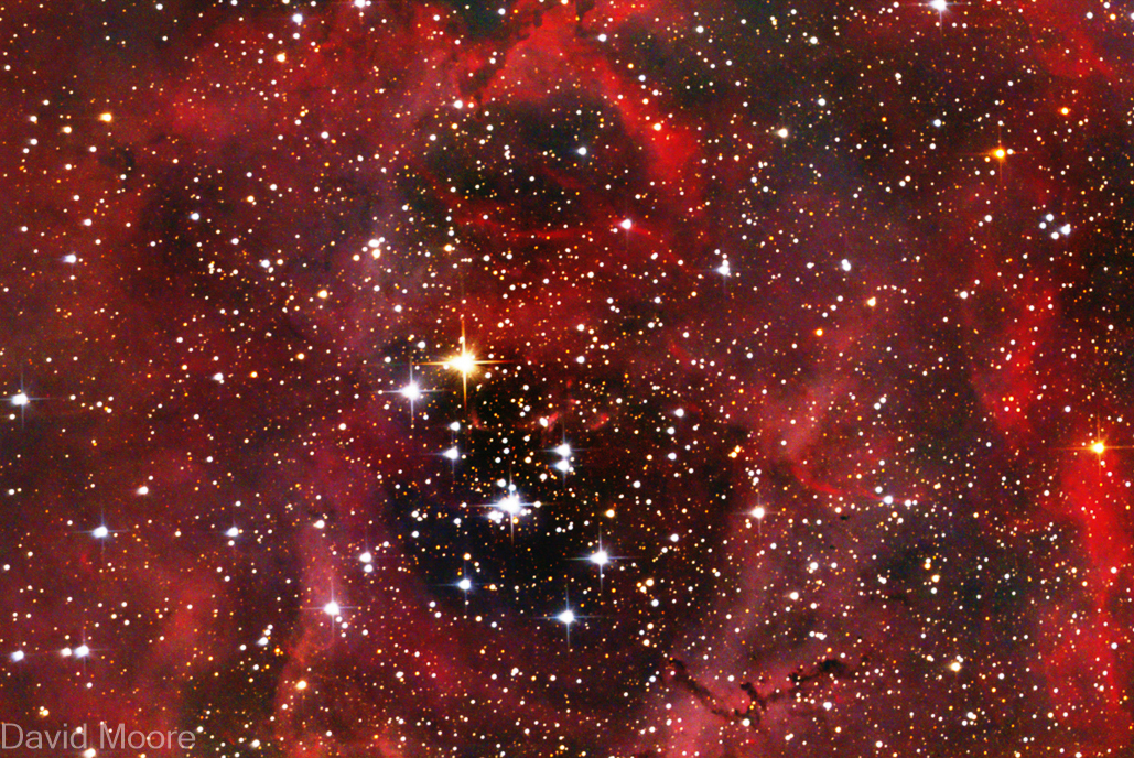 NGC2244 The Rosette Nebula