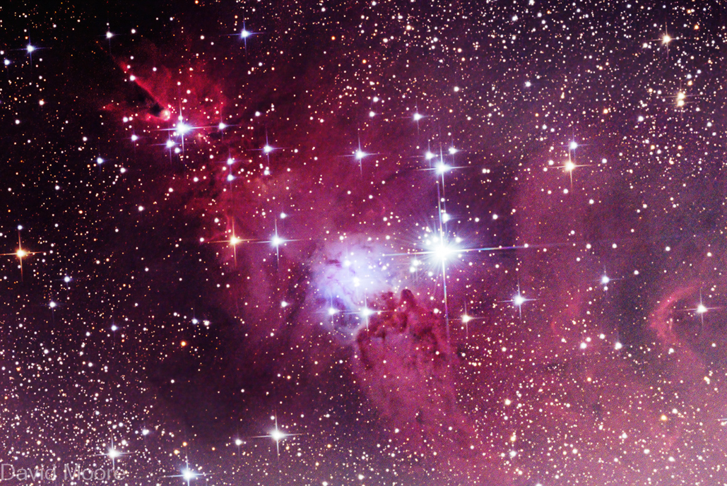 NGC2264 The Christmas Tree Cluster