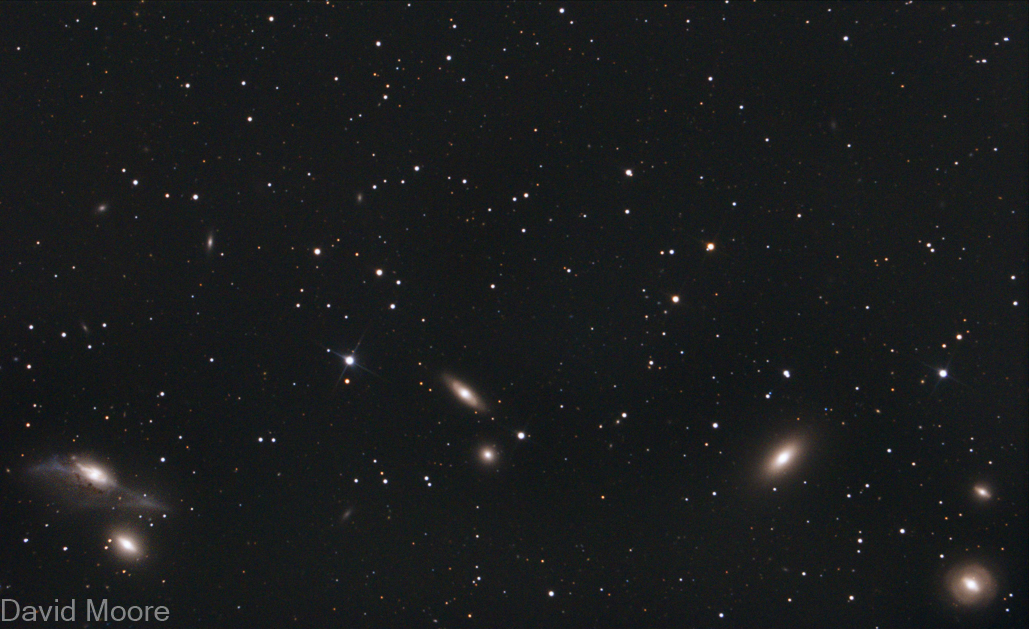 NGC4461 Markarian's Chain